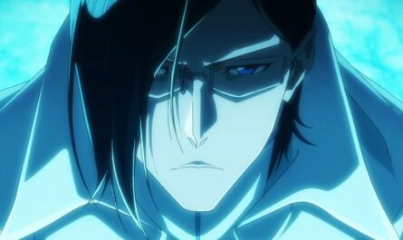 Bleach Thousand Year Blood War Partie 2 : La séparation - Aperçu