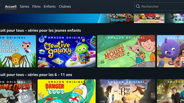 plateformes de streaming - Amazon Prime Video : Un choix équilibré