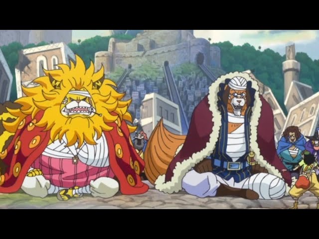 zo one piece